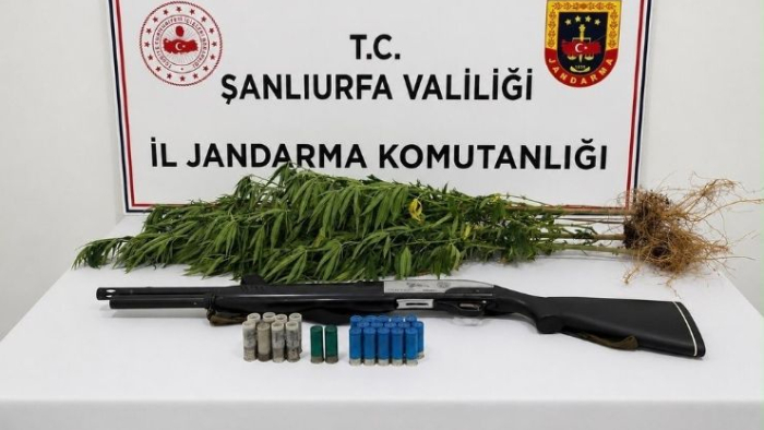 Eyyübiye Ve Halfeti'de Uyuşturucu Operasyonı