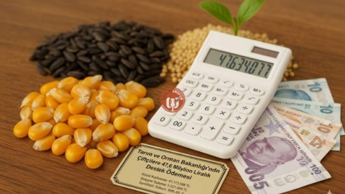 Tarım Bakanlığı’ndan Çiftçilere Destek